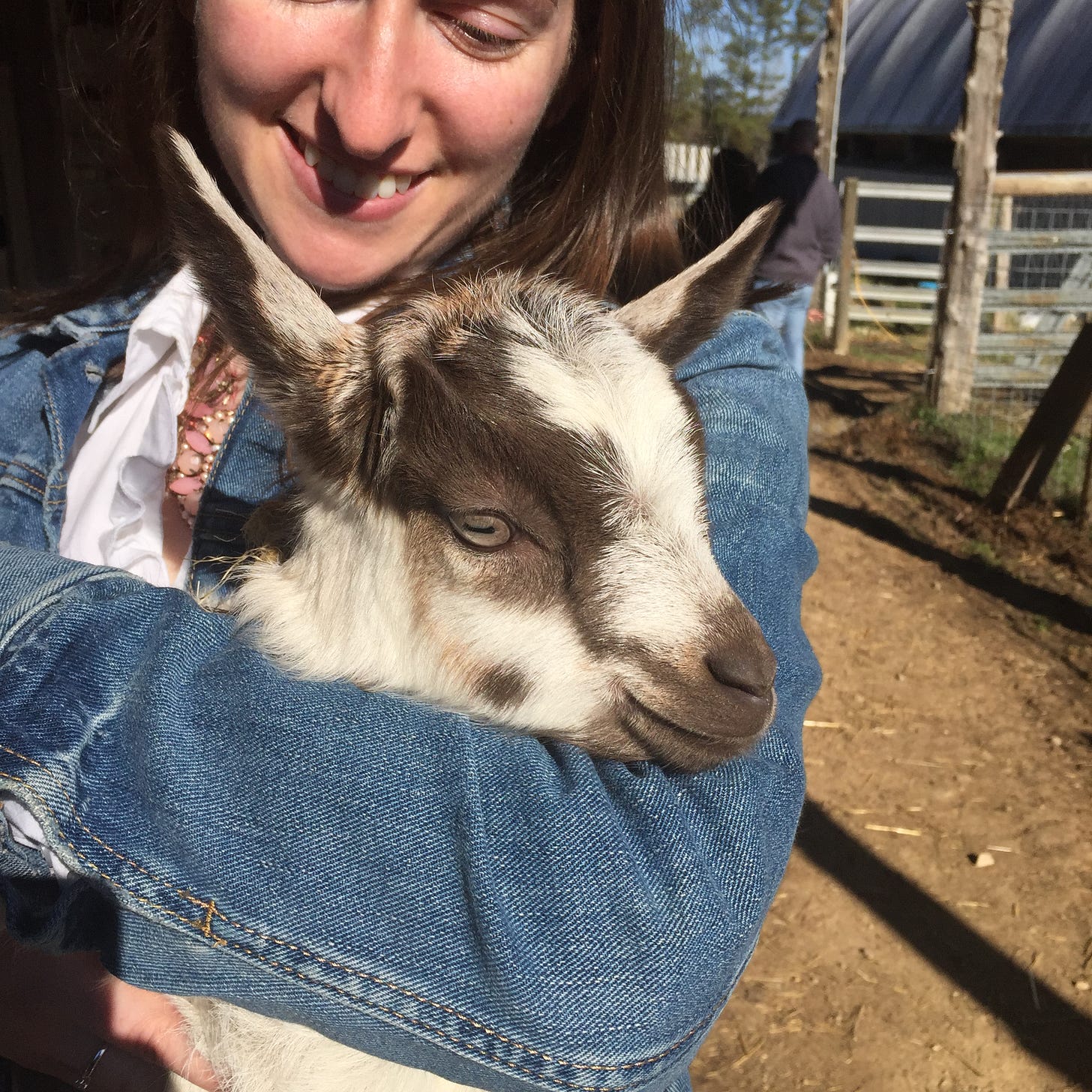 person hugging a baby goat