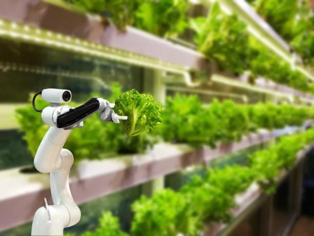 The Rise of Vertical Farming and the Role of AI | by AIQOM | Medium