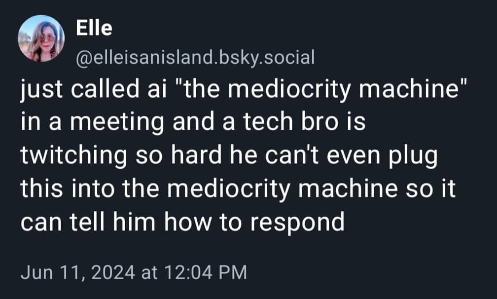 post from Elle on Blue Sky: "just called ai "the mediocrity machine" in a meeting and a tech bro is twitching so hard he can't even plug this into the mediocrity machine so it can tell him how to respond" 