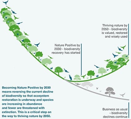 Becoming Nature Positive – for people and planet