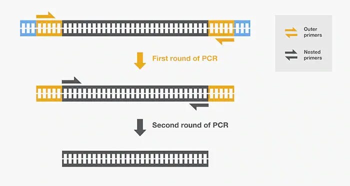Nested PCR: Principle and Applications • Microbe Online