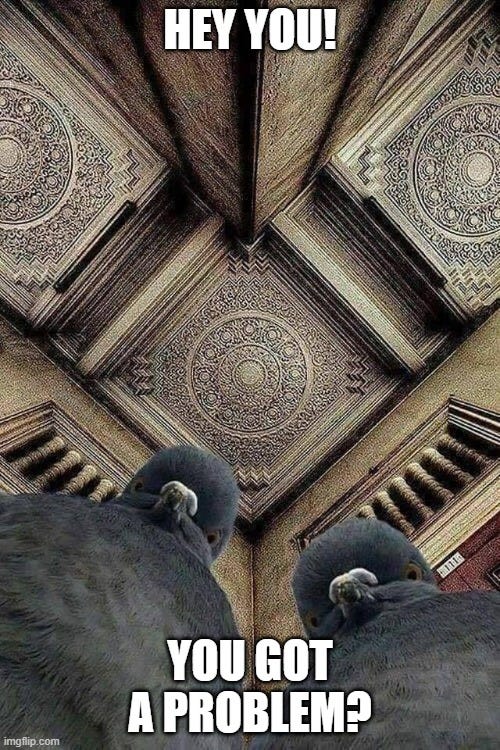 pigeon meme