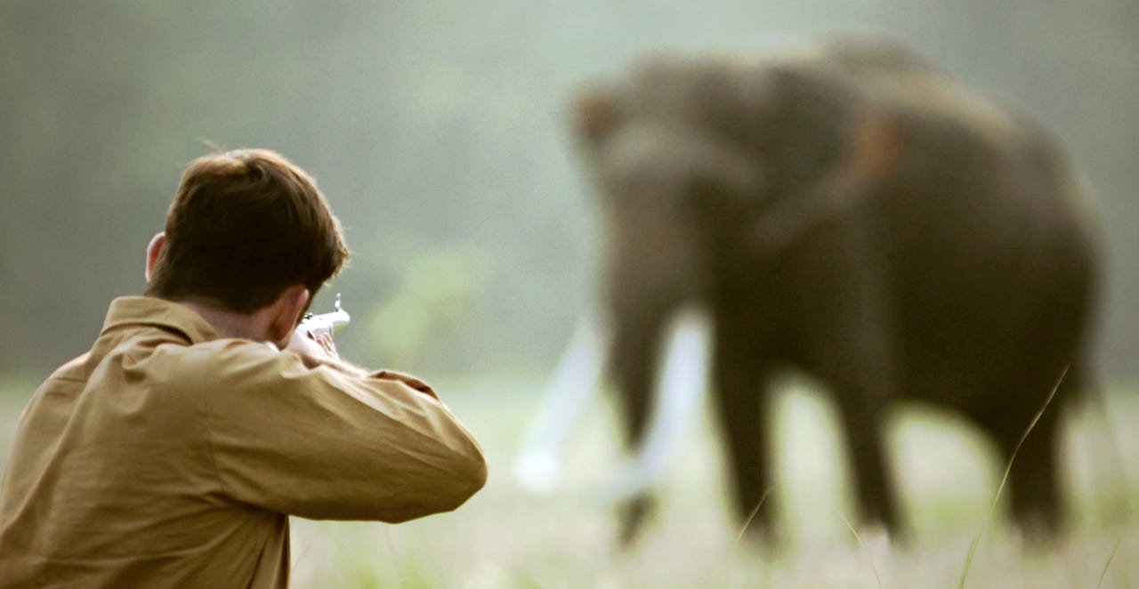 Shooting An Elephant - butler-benefits