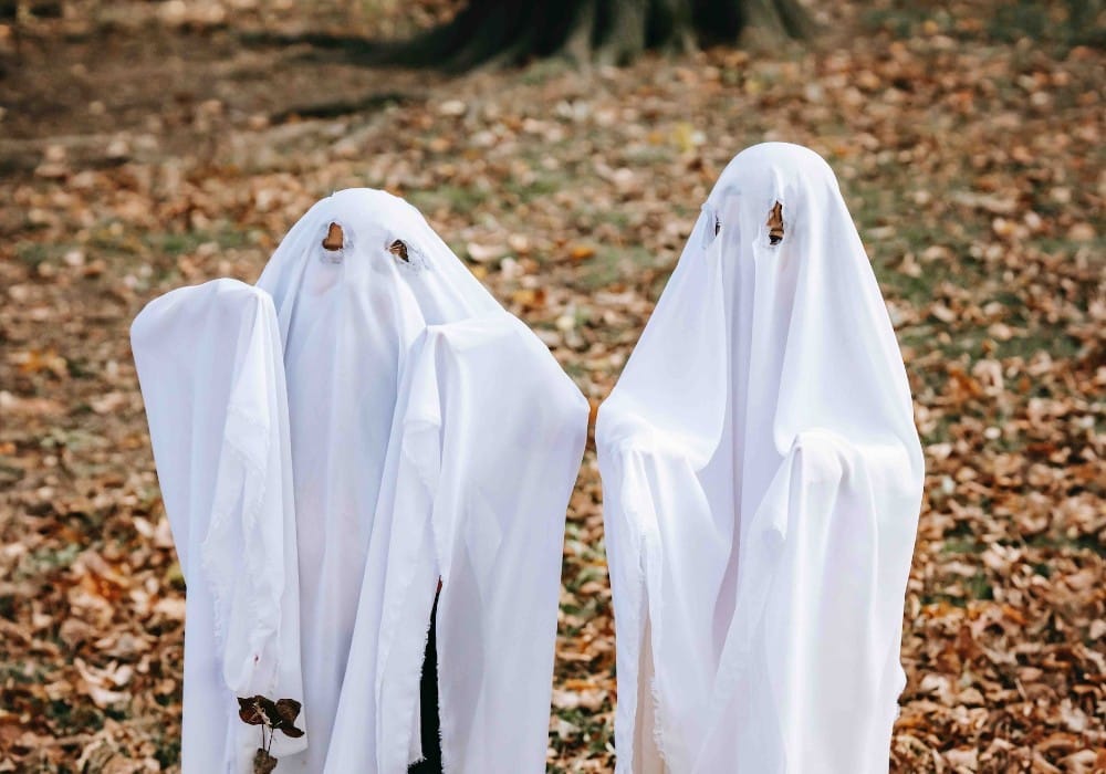 Two aliens dressed up as Halloween ghosts to observe low vibration human behavior
