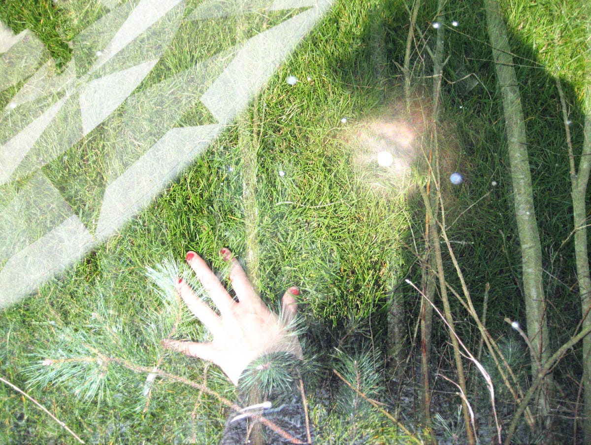 Collage consisting of photographs taken by my seventeen-year-old self, placed in layers bleeding into each other: a human hand is caressing green grass, with its shadow leaning over the grass, on a layer of a dark forest scene, and behind that, the light of the moon shining through the trees.
