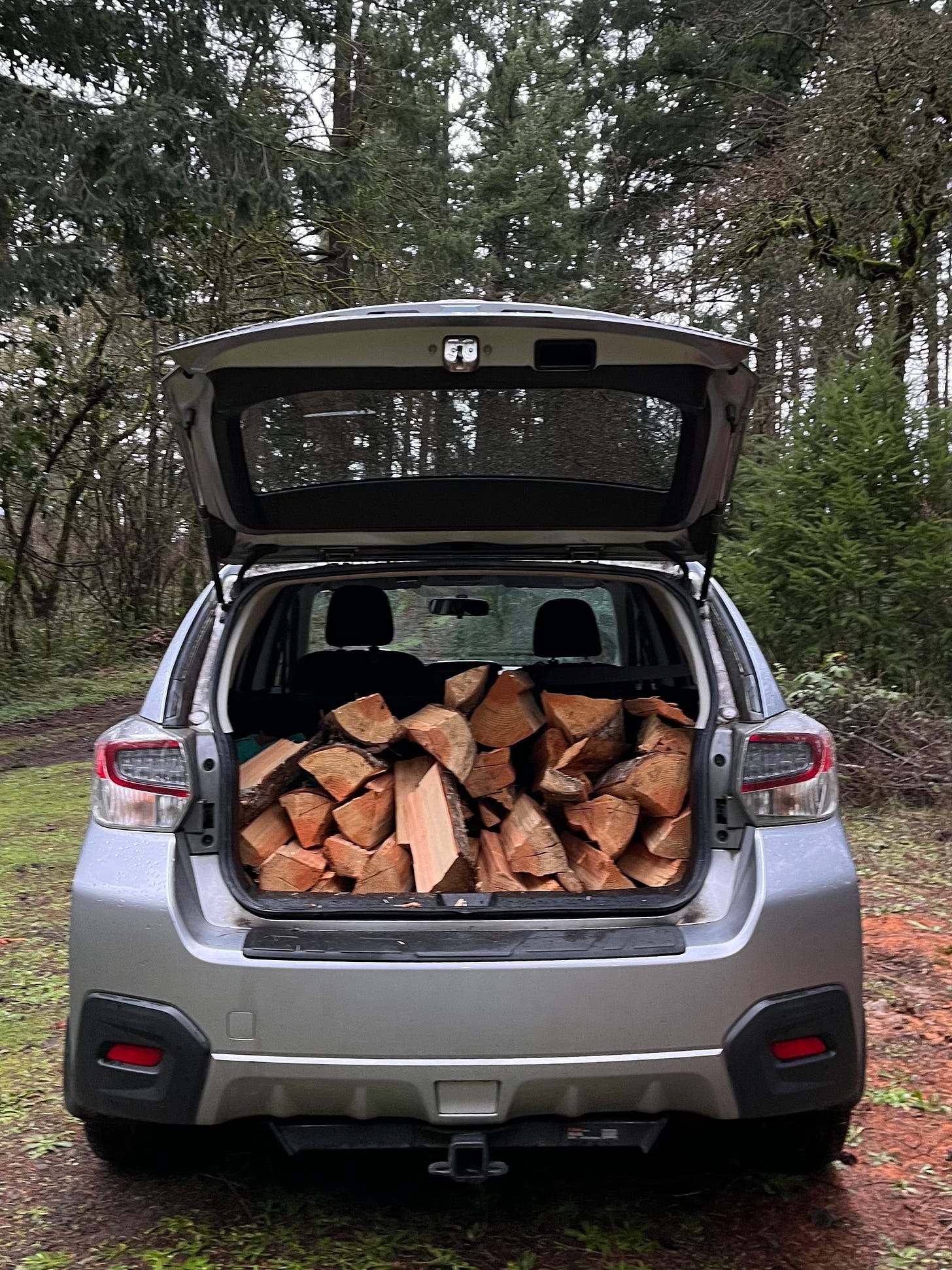 The open hatchback of a silver Subaru in a wooded clearing, full up with freshly chopped firewood
