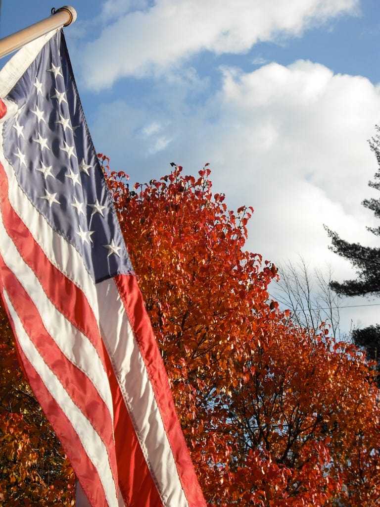 Patriotic Autumn