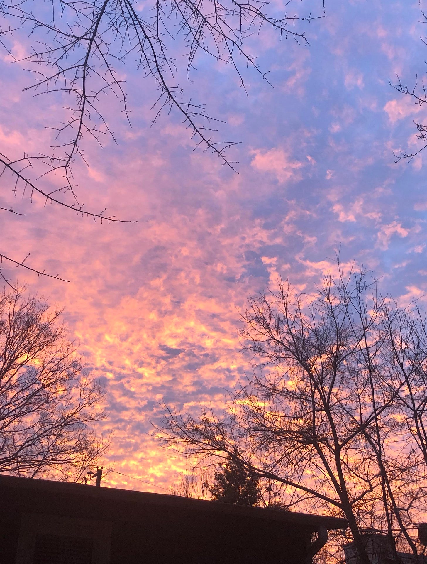 for once, it was actually beautiful outside : r/aesthetic