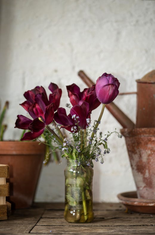 A purple flowers in a glass jar

AI-generated content may be incorrect.