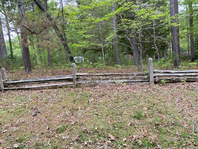 split rail fence on the edge of a tree line