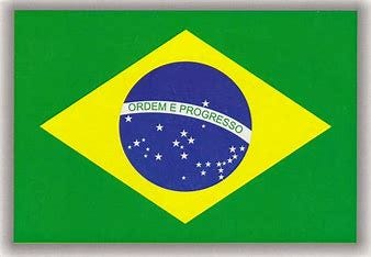 Image result for brazil flag