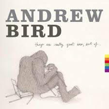 Andrew Bird Handsome