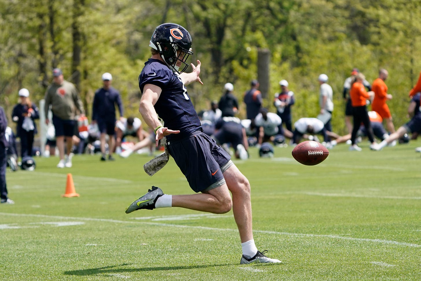 Bears rookie punter Tory Taylor seeks to 'dominate the game'