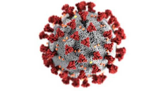 animation of coronavirus