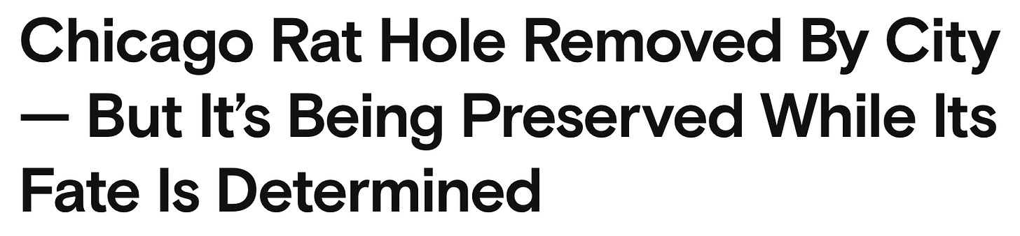 Headline that reads: Chicago Rat Hole Removed By City — But It’s Being Preserved While Its Fate Is Determined