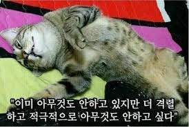 더 격렬하고 적극적으로 아무것도 안하고 싶다 – 월간 틀