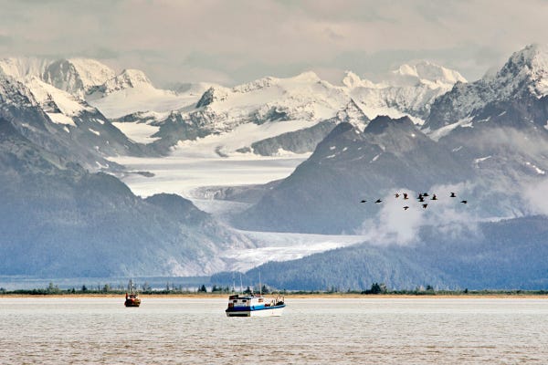 Two fishing boats on a river, the background of the photo is dominated by the mountains covered in white snow, a group of birds flies across the sky.