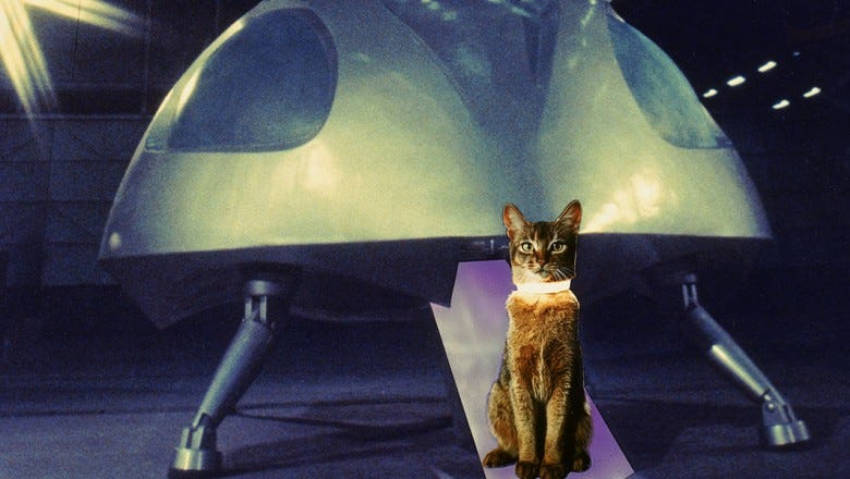 The Cat from Outer Space is Released - D23