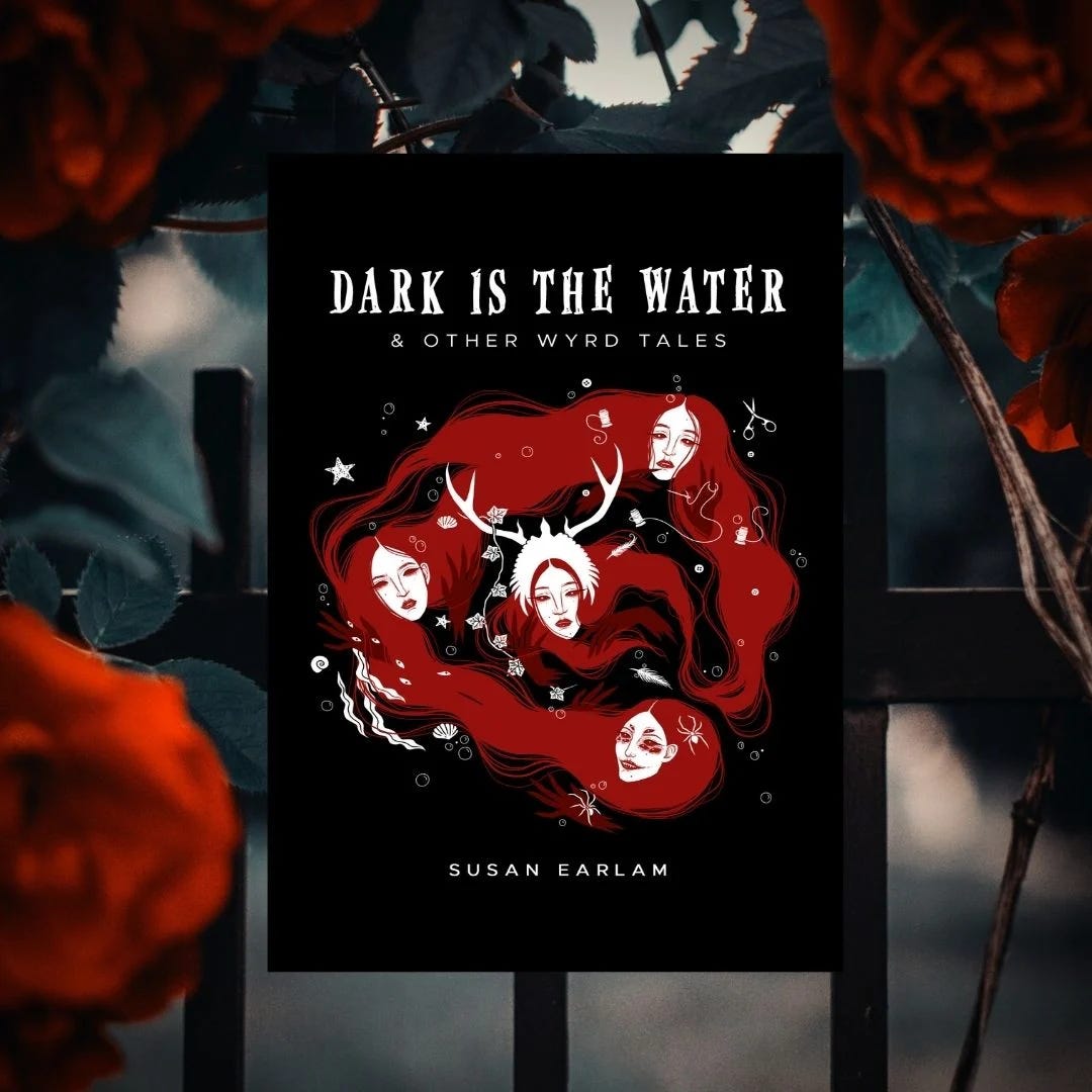 Dark is the water by Susan Earlam