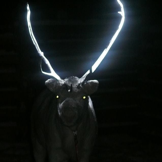 These Reindeer Really Do Shine, And It's For Their Own Good : The Two-Way :  NPR