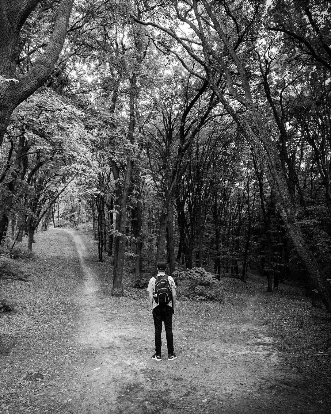 man standing in the middle of woods man standing in the middle of woods