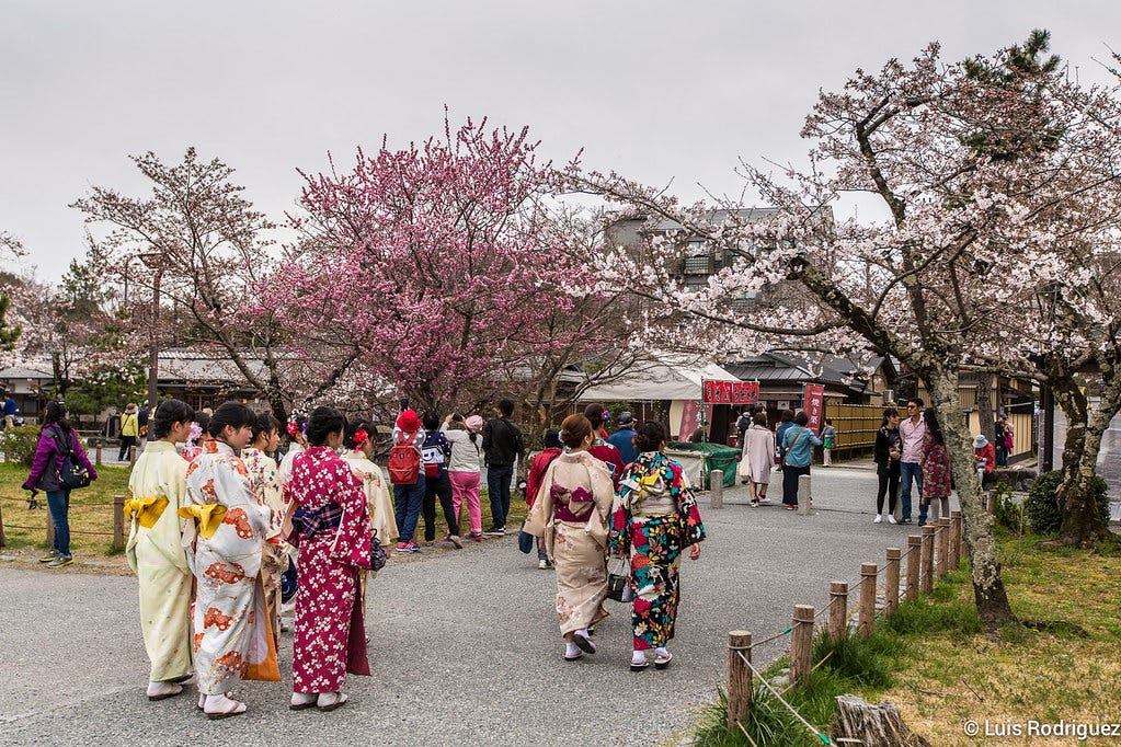Chicas en kimono en Arashiyama en primavera