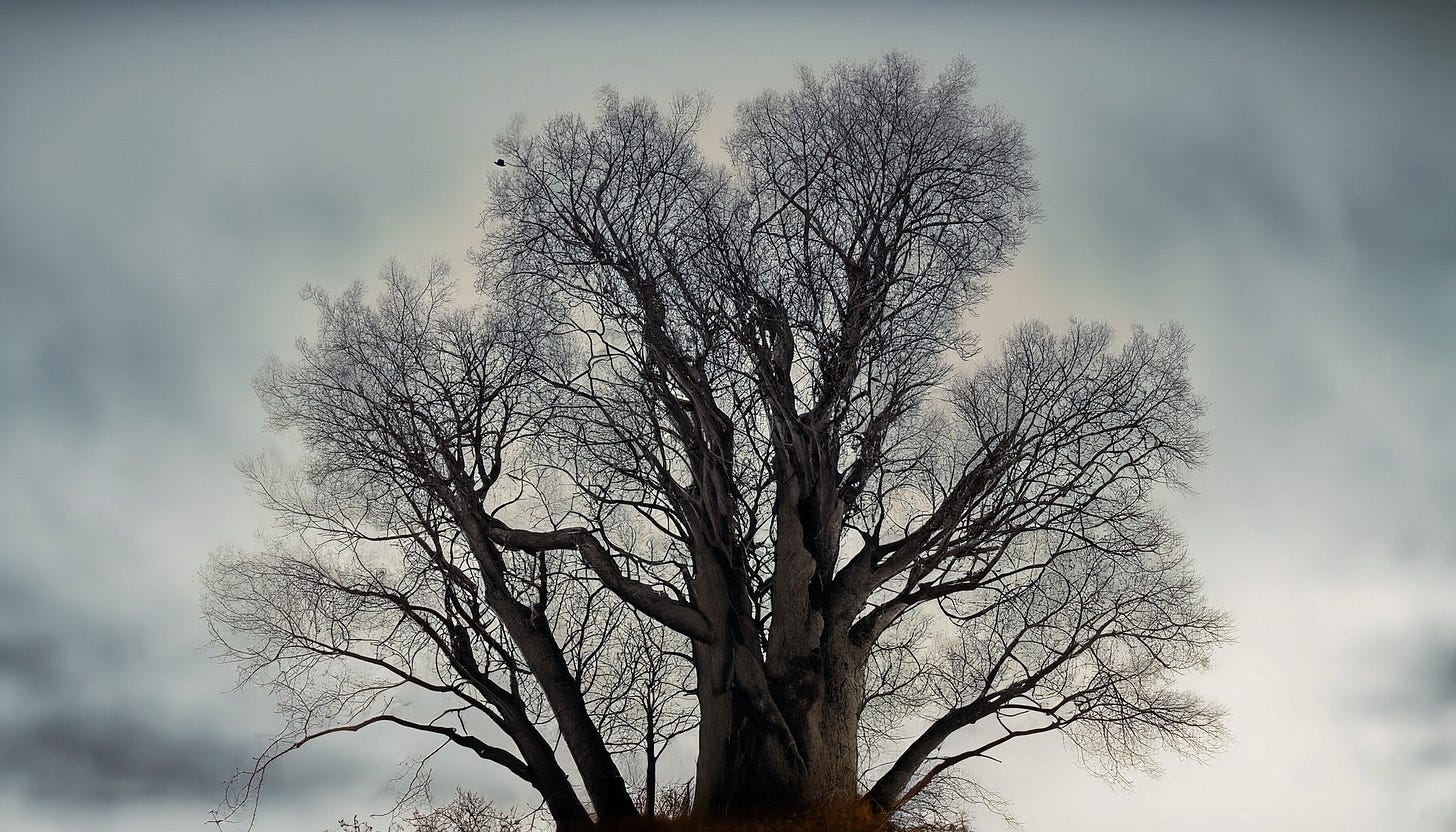 Generated photographic image of a tall leafless tree under a cloudy gray sky with a small black hat caught on a branch Generated photographic image of a tall leafless tree under a cloudy gray sky with a small black hat caught on a branch
