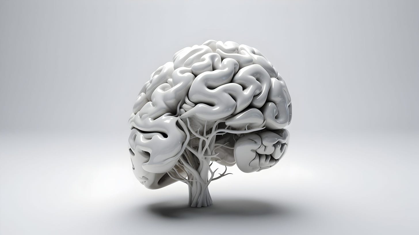 Human,Brain,On,A,White,Background.,3d,Rendering,,3d,Illustration.