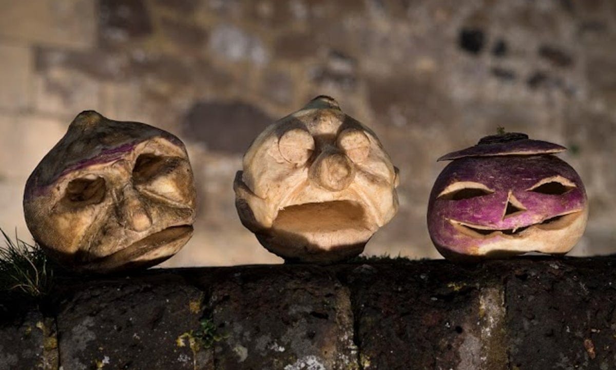 Go back to Halloween's roots and carve a turnip, charity suggests |  Halloween | The Guardian