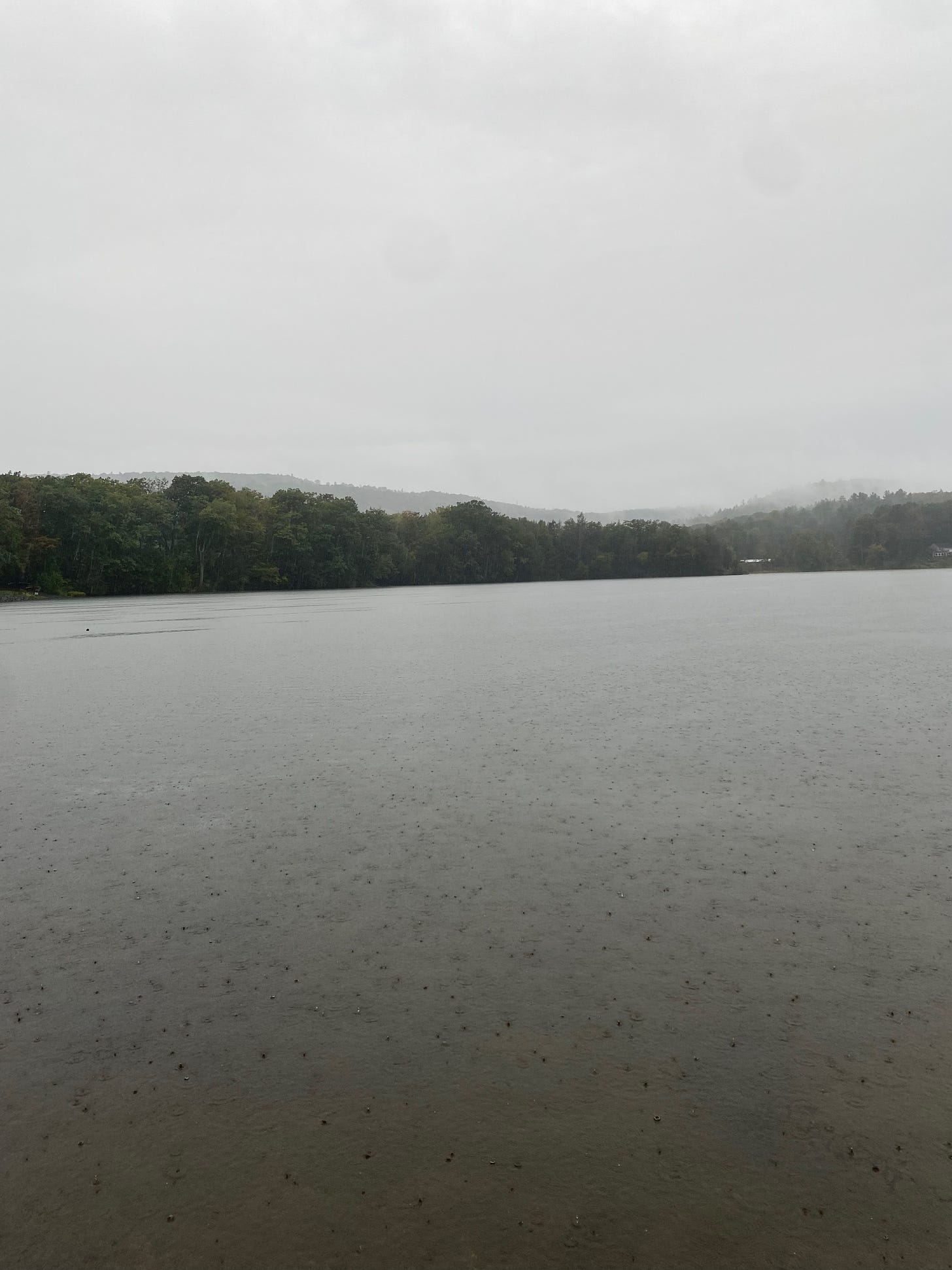 Ashfield Lake on a grey, rainy day, little droplets hitting the smooth surface of the water.