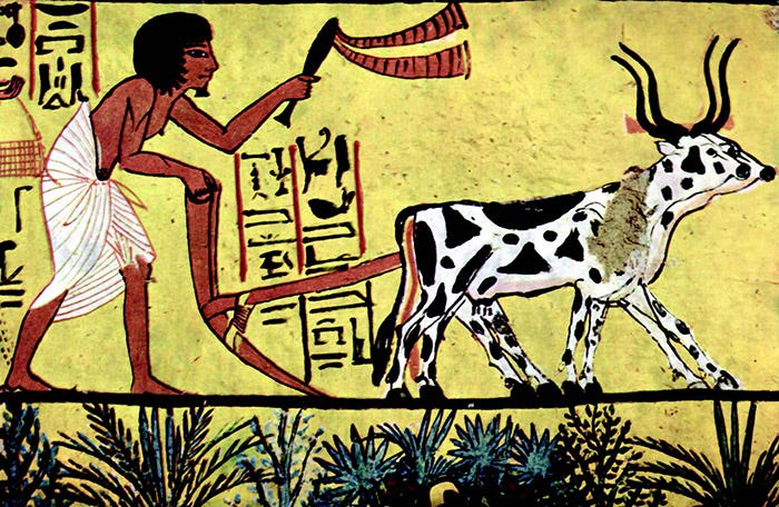 READ: Introduction to Agrarian Societies (article) | Khan Academy
