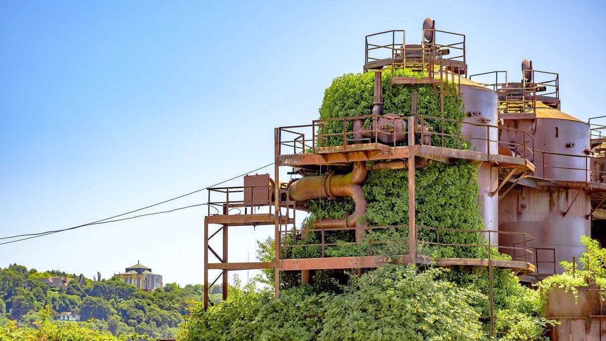 Gas Works Park is a beautiful way to remember a toxic past - Curbed Seattle