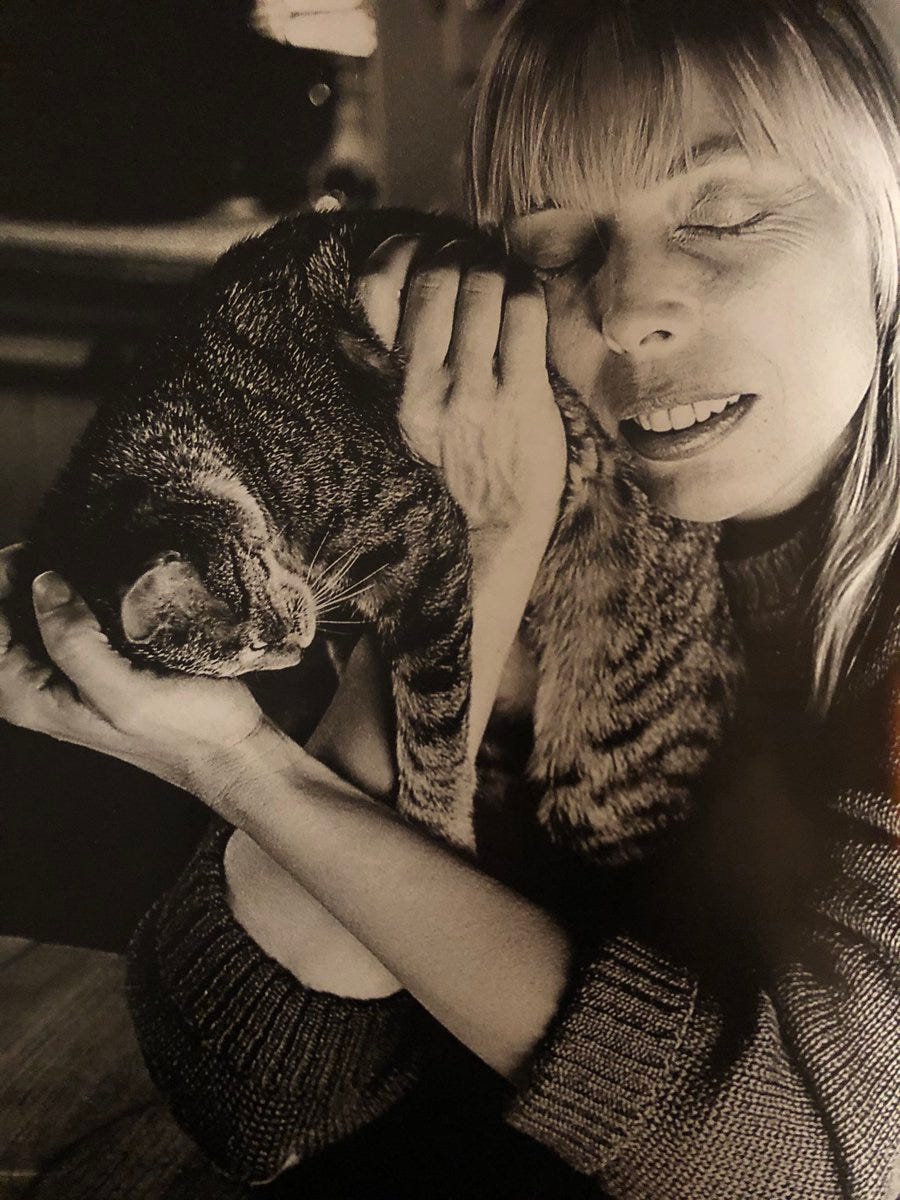 Joni Mitchell on X: "Just Joni and her cats 💙 Happy International Cat Day!  Photos by Norman Seeff and Tom Gundelfinger O'Neal https://t.co/R1xYl59HfY"  / X