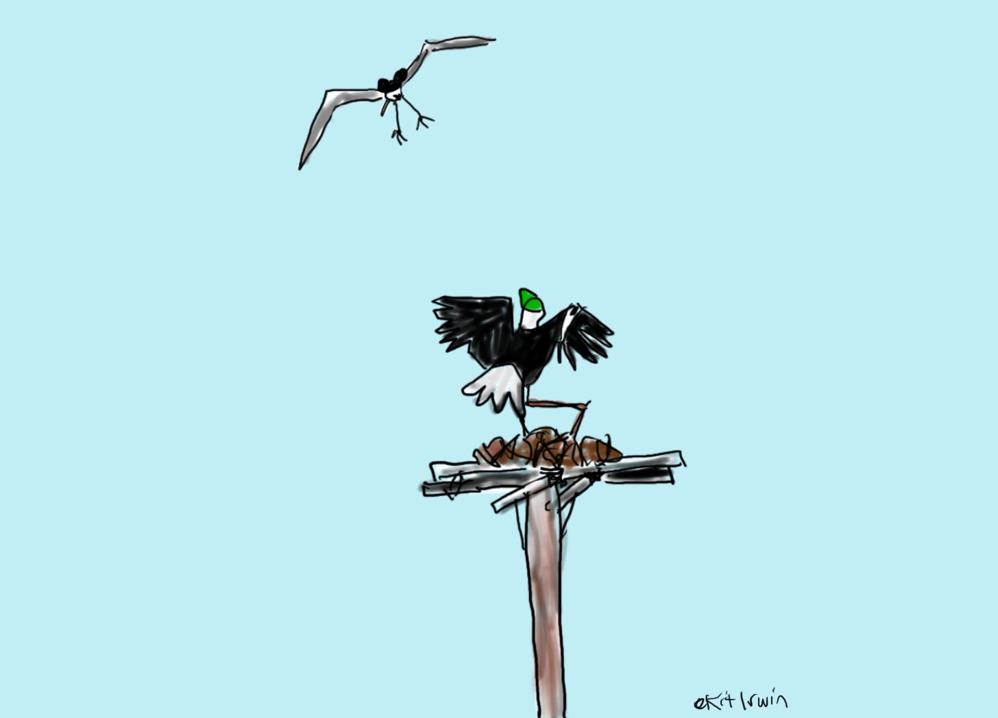 Osprey, wearing a Mouse ears hat, swoops down with talons extended. An eagle, wearing a green ball cap, balances on perch with wings extended, looking up at osprey. The perch is part of a large nest on top of a pole.