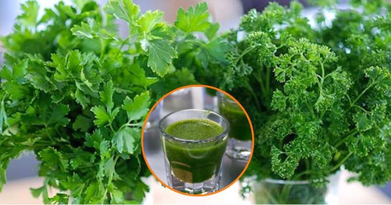 Heavy Metal Detox Drink - Using Cilantro, Parsley Juice And Clay Water