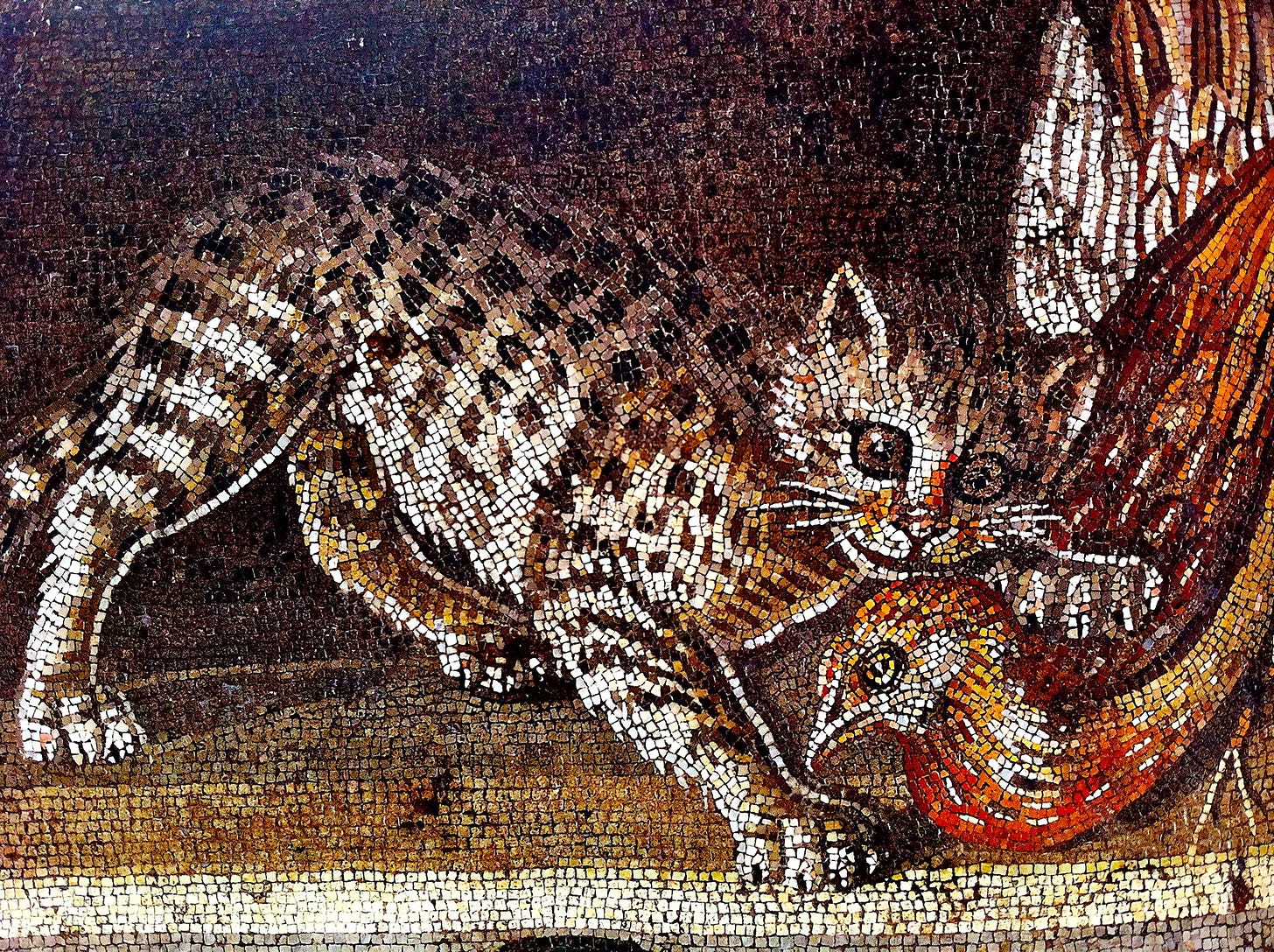 Cat mosaic from Pompeii | Roman history, Pompeii, Roman mosaic