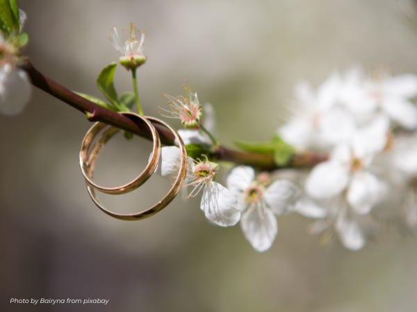 2 gold wedding rings suspended on a branch with white flowers