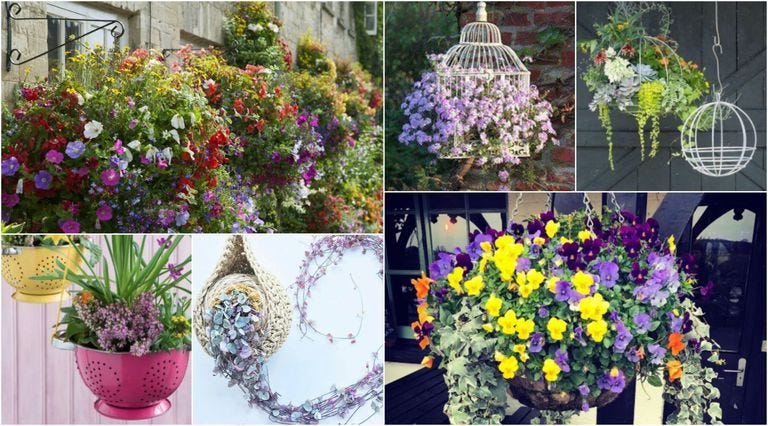 mothers day gorgeous hanging baskets gift ideas 2018