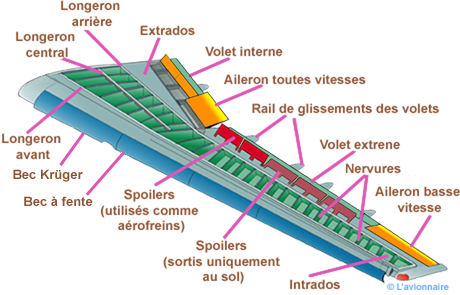 Structure des ailes d'un aérodyne