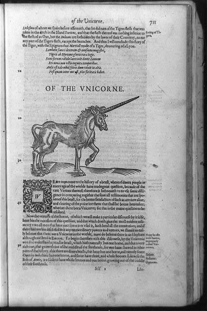 Of the unicorne in The historie of foure-footed beastes / Edward Topsell. London : W. Laggard, 1607, p. 711