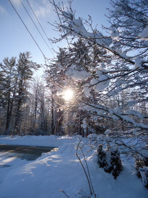 Freshly fallen snow