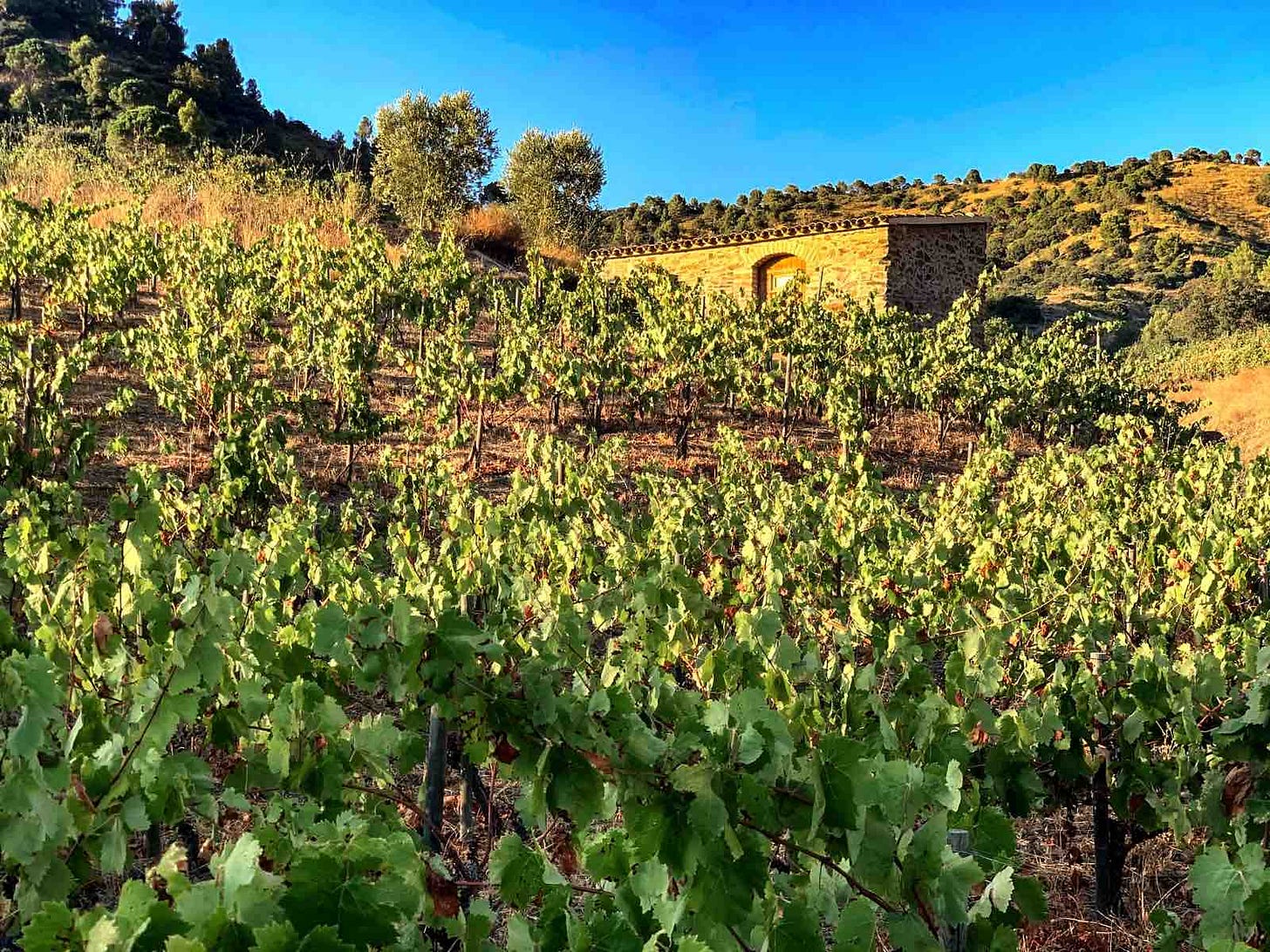 Clos Salanca