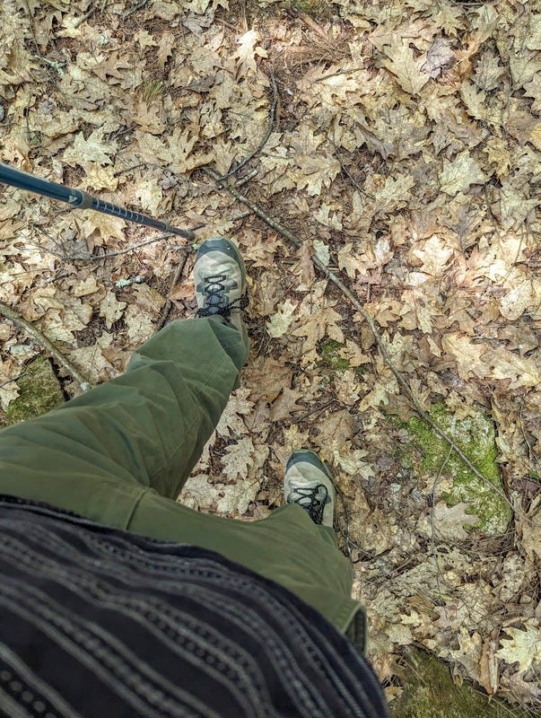 Downward view of legs with hiking shoes, hiking pole, and a carpet of dry leaves on the forest floor