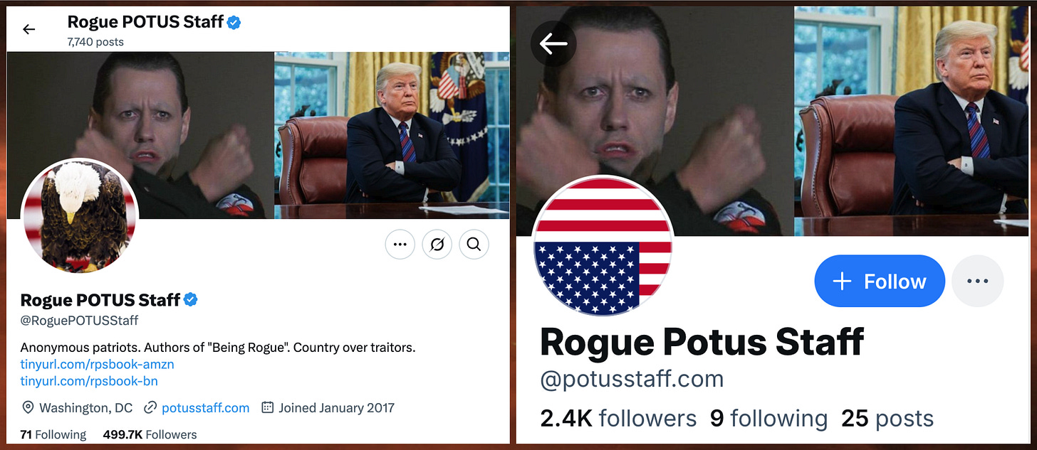 screenshots of the profiles of the "Rogue POTUS Staff" X and Bluesky accounts