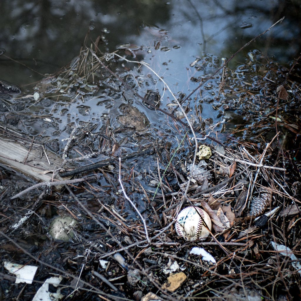A suburban pond, with a remarkably clean - yet still obviously discarded - baseball down in the corner, stuck in a clot of pine needles.
