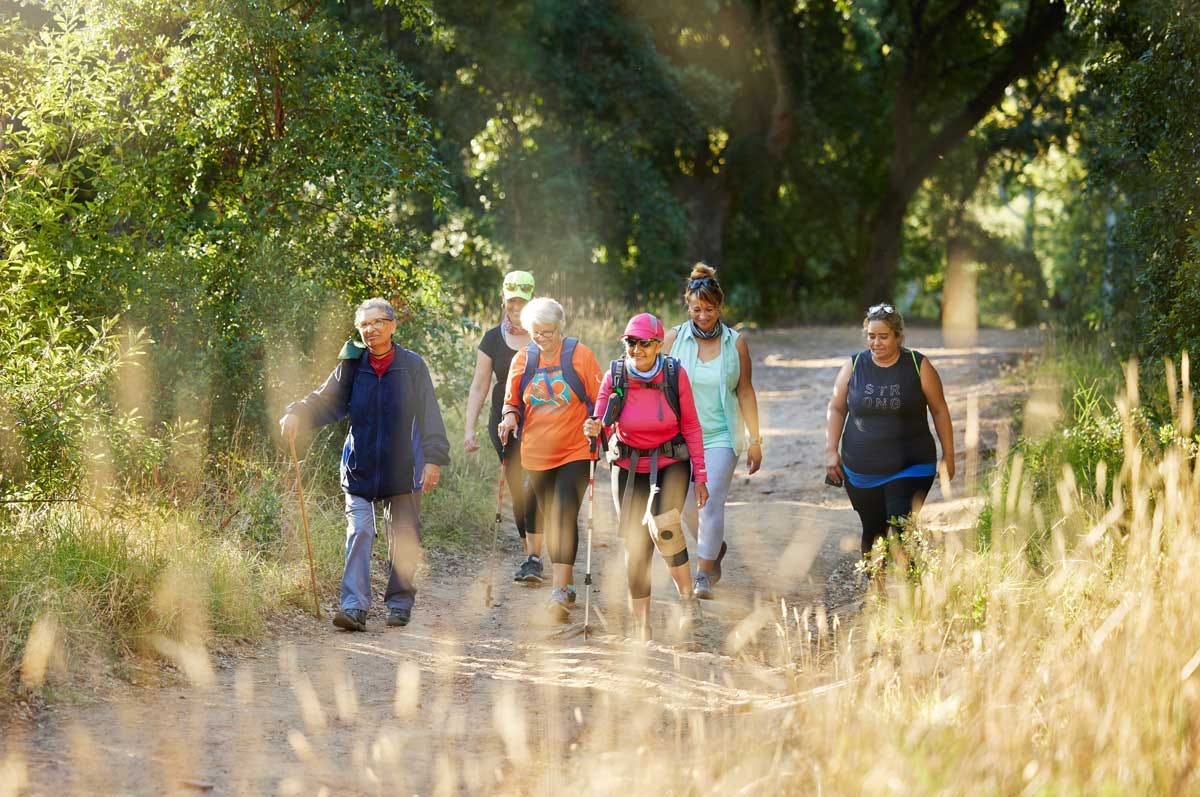 Diverse community group enjoying a hike together.