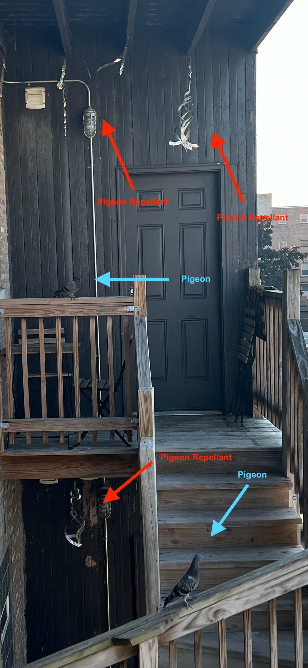 An outdoor wooden staircase with hanging holographic things that spin and wave in the wind. There are two pigeons sitting on the bannisters of the stairs within just a few feet of the pigeon repellants