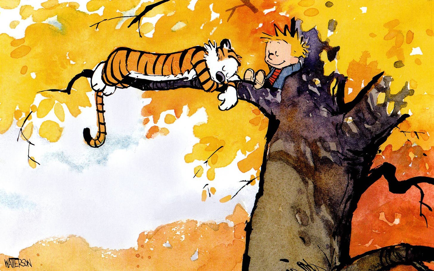 100+] Calvin And Hobbes Wallpapers | Wallpapers.com