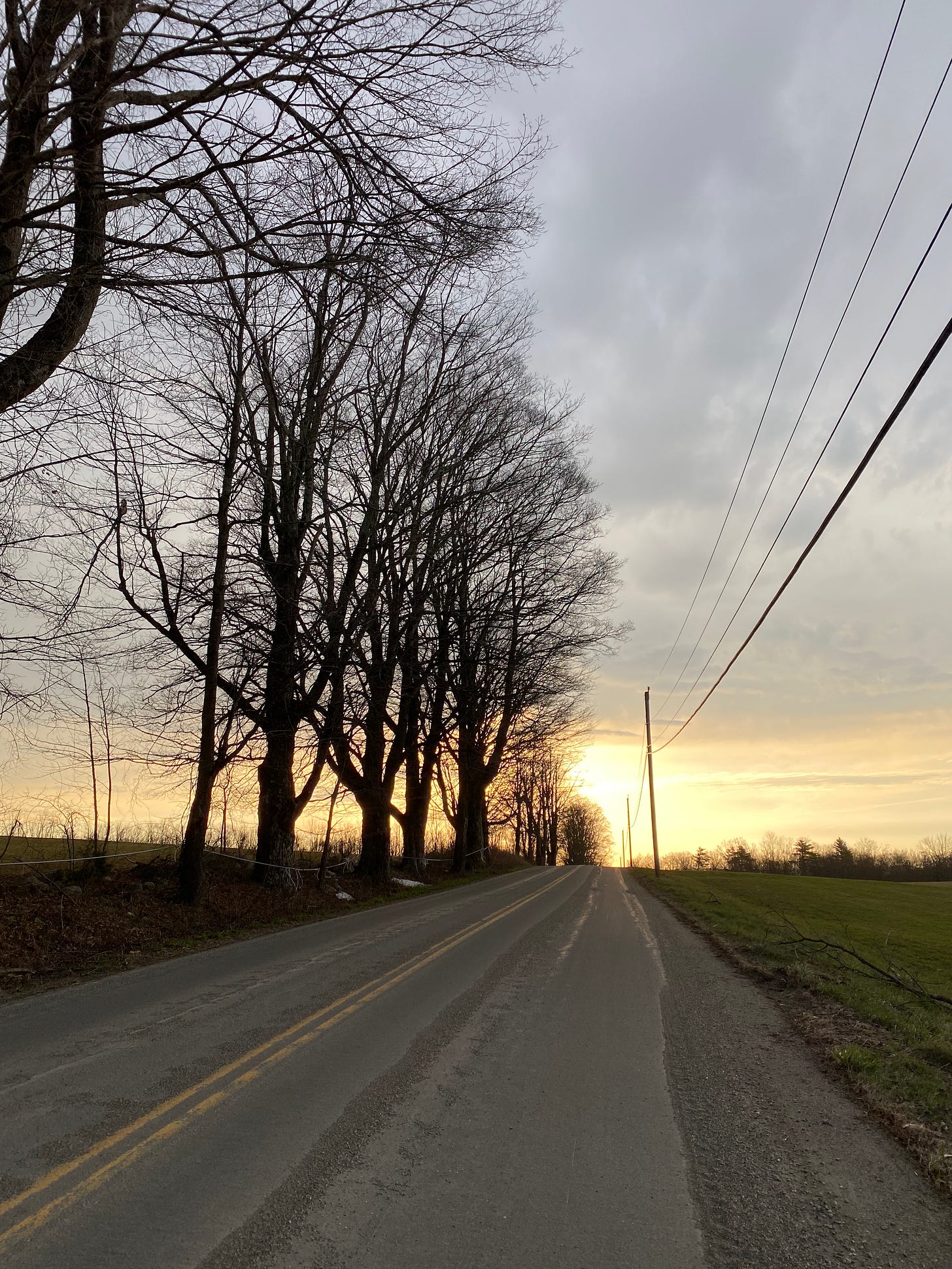 A paved road up a hill at sunrise: dark trees along the left, a green field on the right, and the sun a gold blur on the horizon under a dark cloudy sky.
