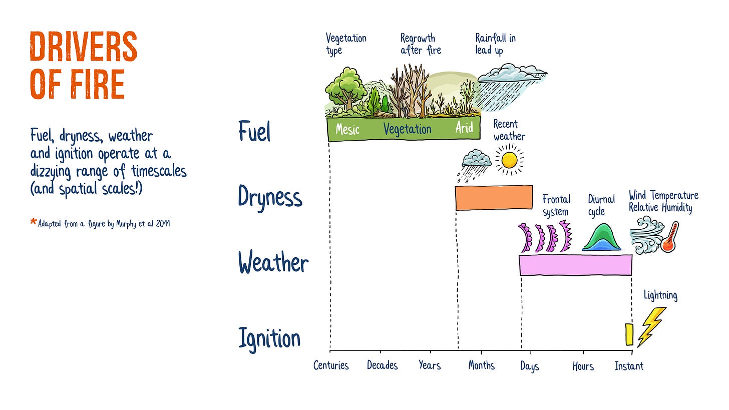 Infographic of fire drivers concept. Fuel, dryness, weather and ignition are all required for a big fire to occur. Adapted from a figure from Murphy et al's 2011 paper on Fire regimes